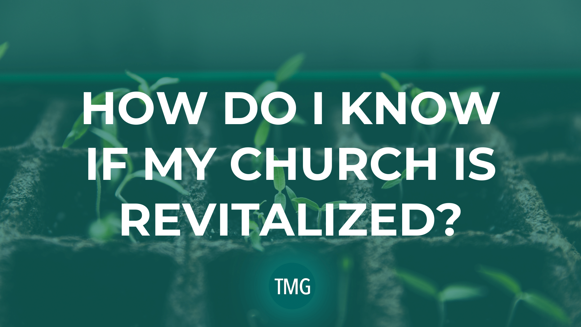 how-do-i-know-if-my-church-is-revitalized-the-church-revitalization-podast-malphurs-group-header-image