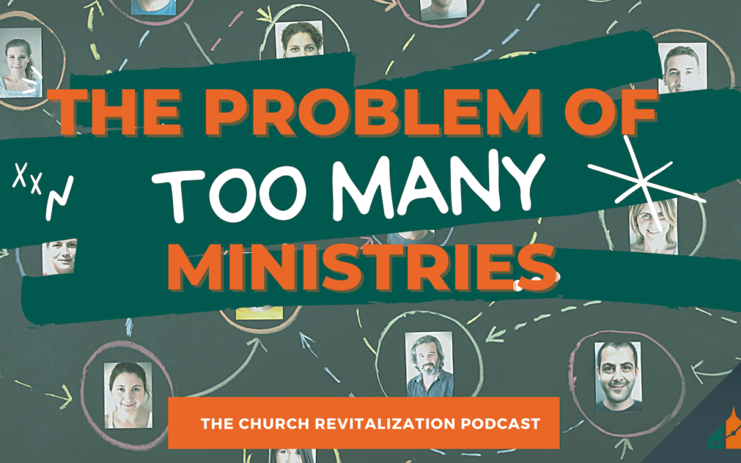 The Problem of Too Many Ministries